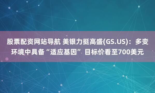 股票配资网站导航 美银力挺高盛(GS.US)：多变环境中具备“适应基因” 目标价看至700美元